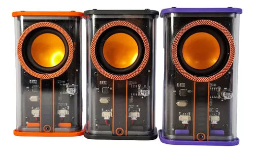 Parlante Bluetooth Transparente con Luces